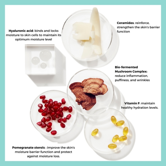 BEAUTYSTAT Universal Pro Bio Moisture Boost Cream - Picture 6 of 13